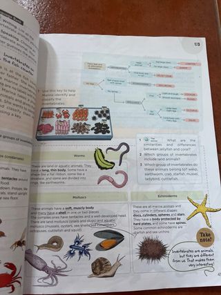 Libro texto Natural sciences 3 primaria Anaya 