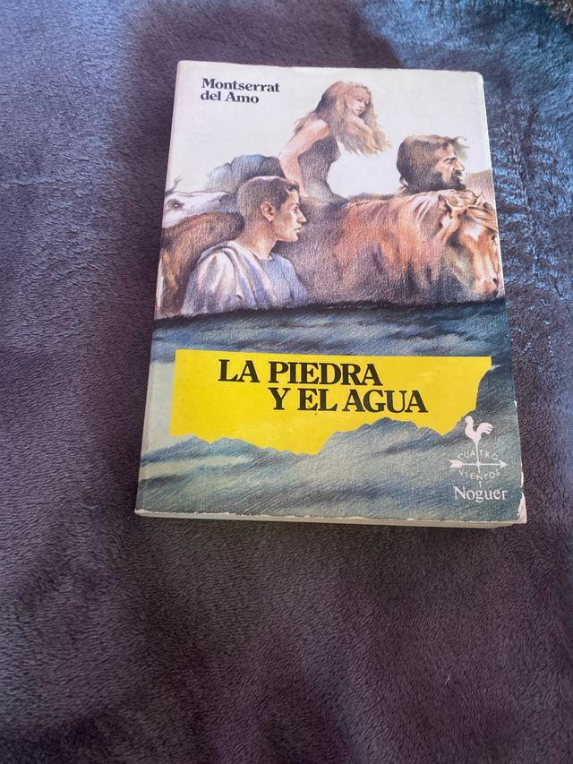 La piedra y el agua (Cuatro Vientos, 25) (Spani...