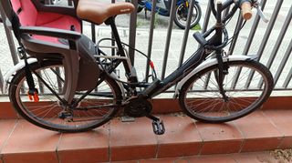 Bicicleta infantil con sillita