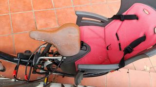 Bicicleta infantil con sillita
