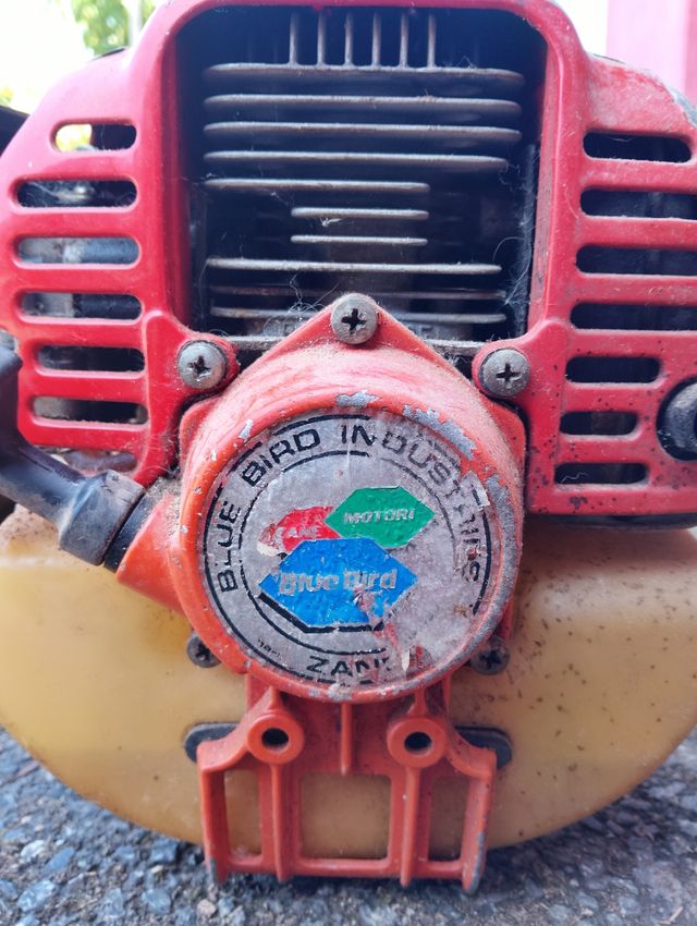 Decespugliatore Blue Bird M54