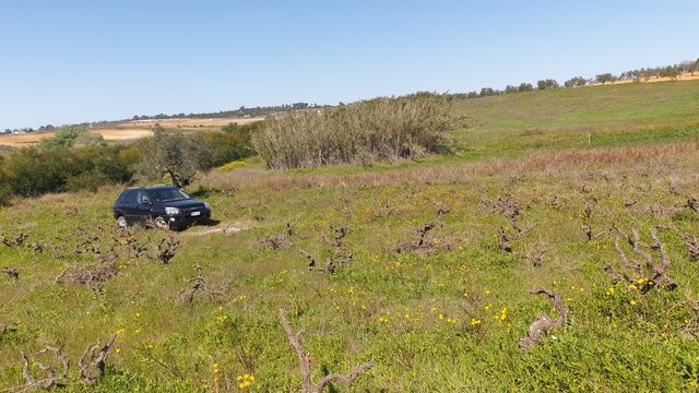 Finca Montañina - terreno rústico