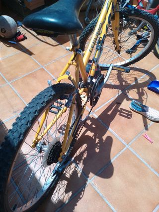 Bicicleta Feeling niño/a