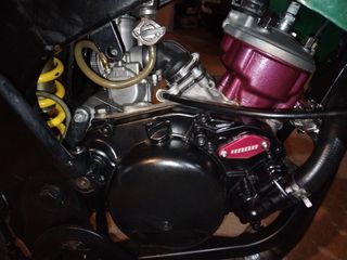 Motor Top Rosa