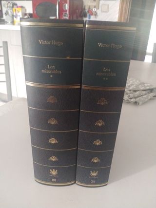 2 libros los miserables