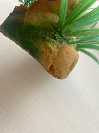 Decoración pecera - 2 piedras