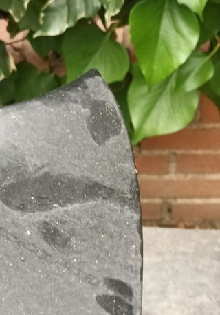Capó Opel Astra G negro