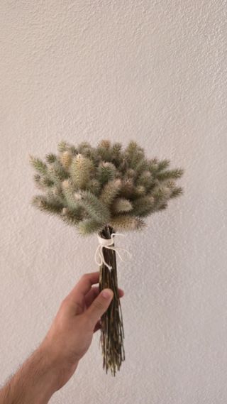 Ramo seco - decoração