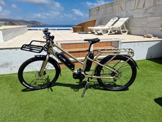 Bicicleta Carga Eléctrica Conor Viena