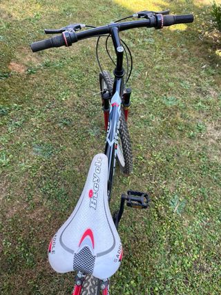 Bicicletta MTB Frejus EM26