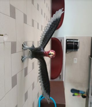 Animali giocattolo: leone, orso, ecc.