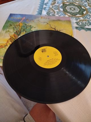 Acción Rock Band - Vinilo