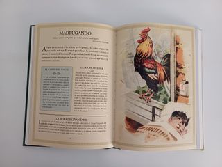 Libro Cuando Éramos Niños