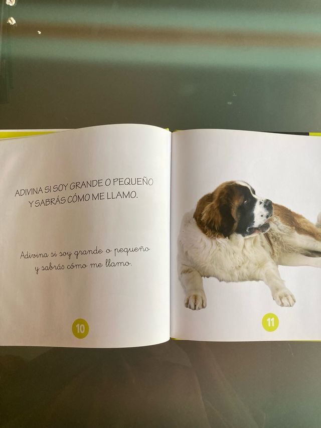 Libros lecturas infantiles