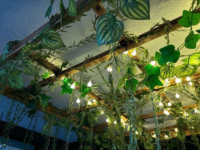 Tejadillo decorativo con luces