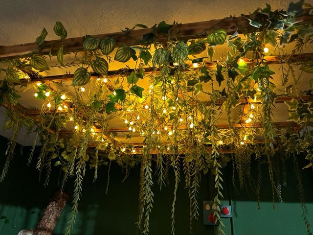 Tejadillo decorativo con luces