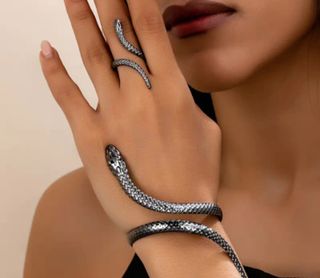 Elegante conjunto serpiente