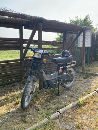 Suzuki Maxi INT.