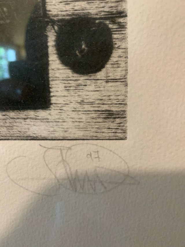 Incisione originale - Quadro lamina