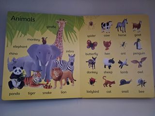 First Picture Word Book