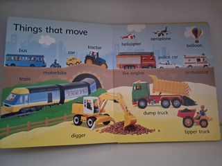 First Picture Word Book