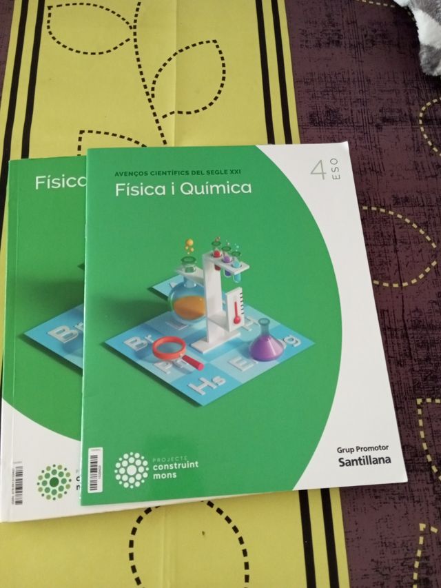 FISICA I QUIMICA 4 SEC CONSTRUINT MONS