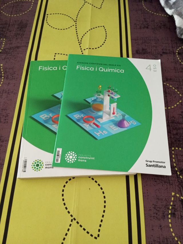 FISICA I QUIMICA 4 SEC CONSTRUINT MONS