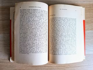 Sociología del fútbol, Julio Mafud