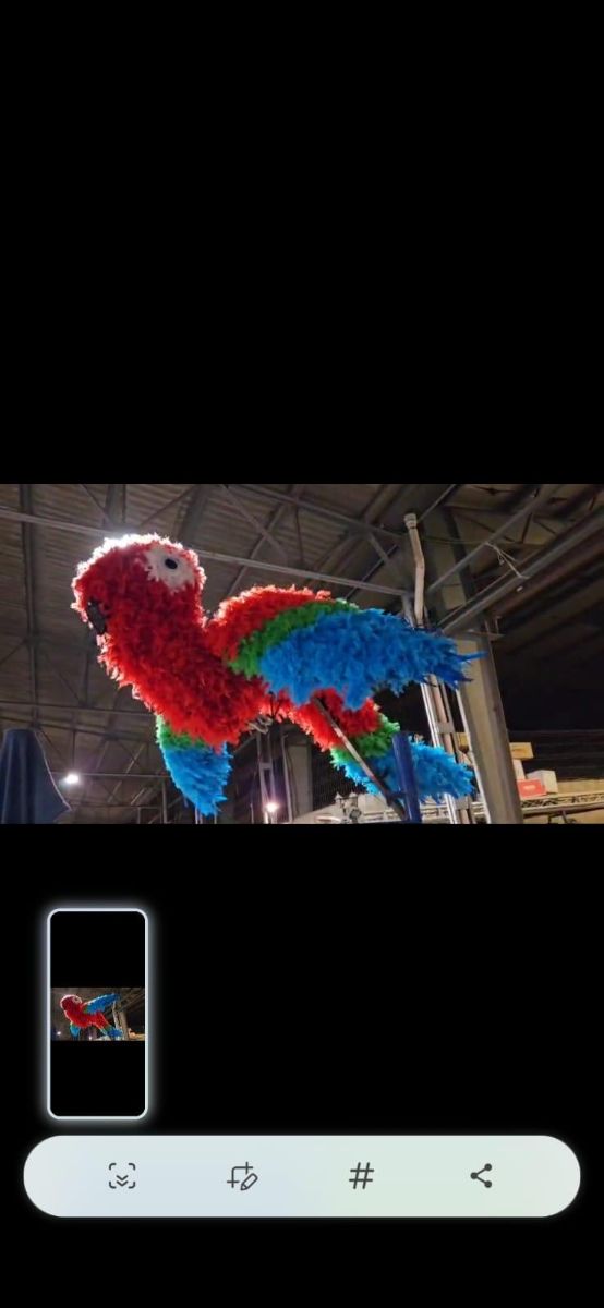 Loro con plumas 3 metros