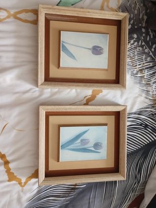 2 Cuadros tulipanes - Vintage