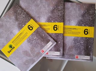 Matemáticas. 6 Primaria. Savia (Spanish Edition)