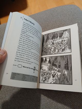 The Black Hand Gang and the Mysterious House. (...