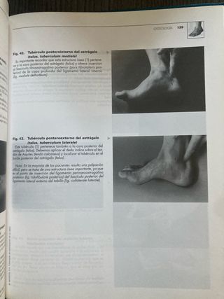 Atlas de anatomía palpatoria de la extremidad infe