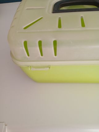 Trasportino conigli - Verde e Bianco