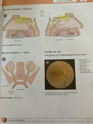 Gran Atlas McMinn de Anatomia Humana (Spanish E...