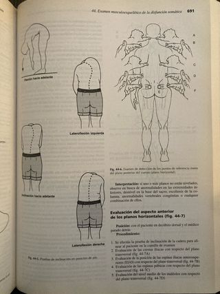 Fundamentos de Medicina Osteopática (Spanish Ed...