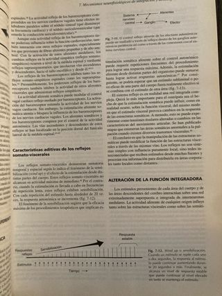 Fundamentos de Medicina Osteopática (Spanish Ed...