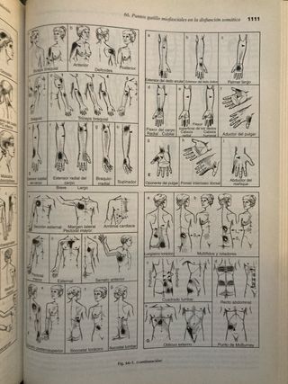 Fundamentos de Medicina Osteopática (Spanish Ed...