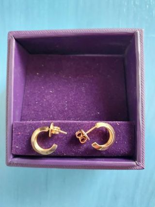Pendientes Aristocrazy. Plata bañados en oro