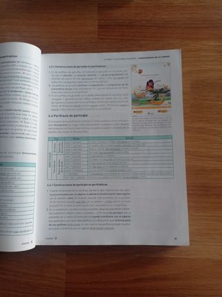 Lengua castellana y Literatura 1BA 2019