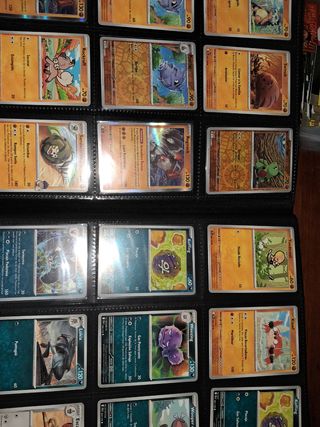 PokémonTCG: Journey Together. Predestinated Rivals