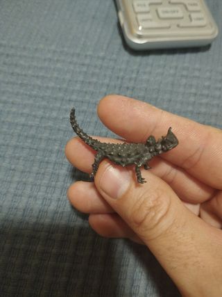 Rarísimo Diablo espinoso latón pintado