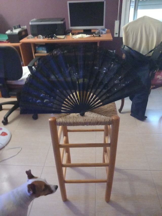 Abanico negro bordado a mano