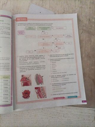 Música I. Secundaria. Revuela