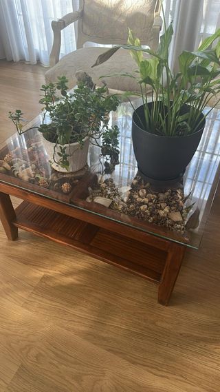 Mesa centro madera maciza cristal no bajo muy reba