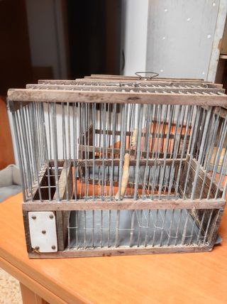 Jaula pajaros antigua + transportín