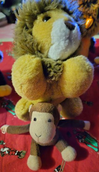 7 Pupazzi morbidi: orso, leone, etc.