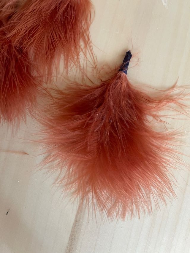 Plumas naturales Marrón Claro - 25 Mazos de 12cm.