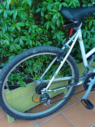 Bicicleta de montaña con marchas. 
