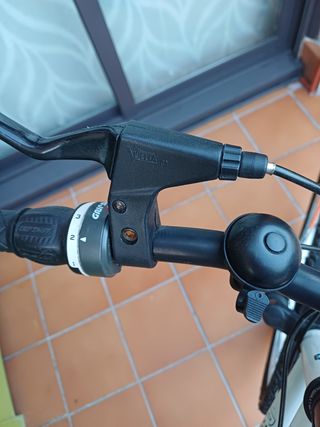 Bicicleta de montaña con marchas. 